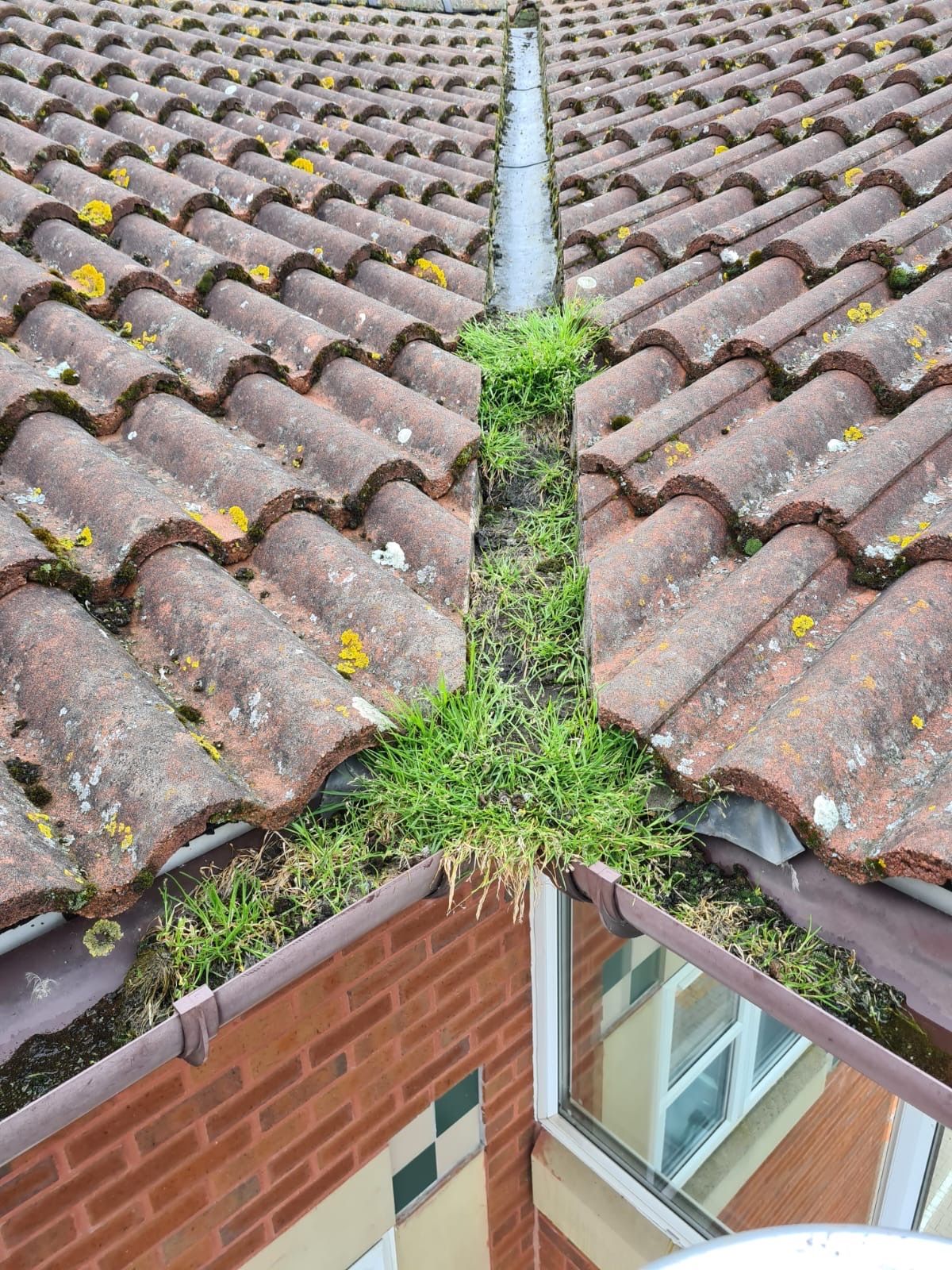 Before: tiled roof corner gutter packed with grass